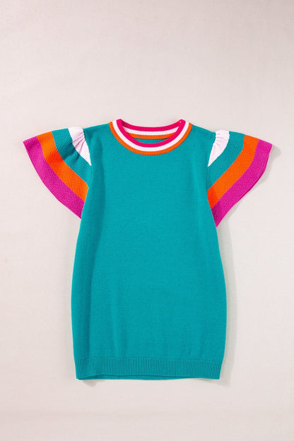 Color Block Round Neck Knit Top - Rochelle's House LLC